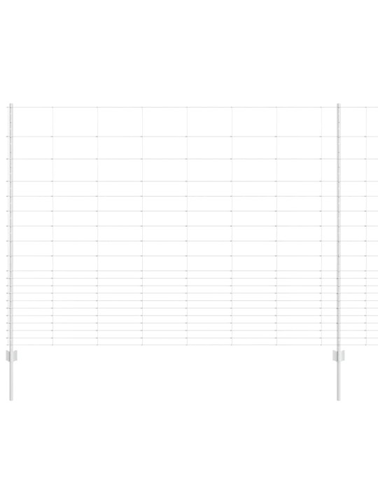 Aed koos postidega hõbedane 1.6 x 25 m teras