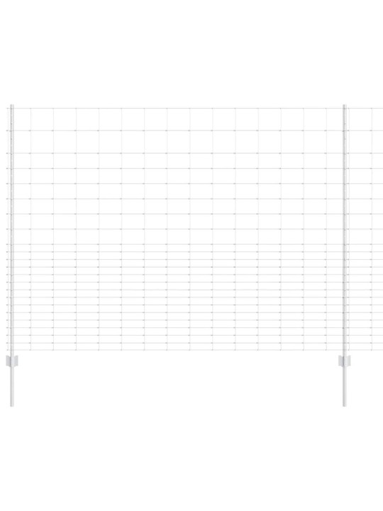 Aed koos postidega hõbedane 1.6 x 25 m teras