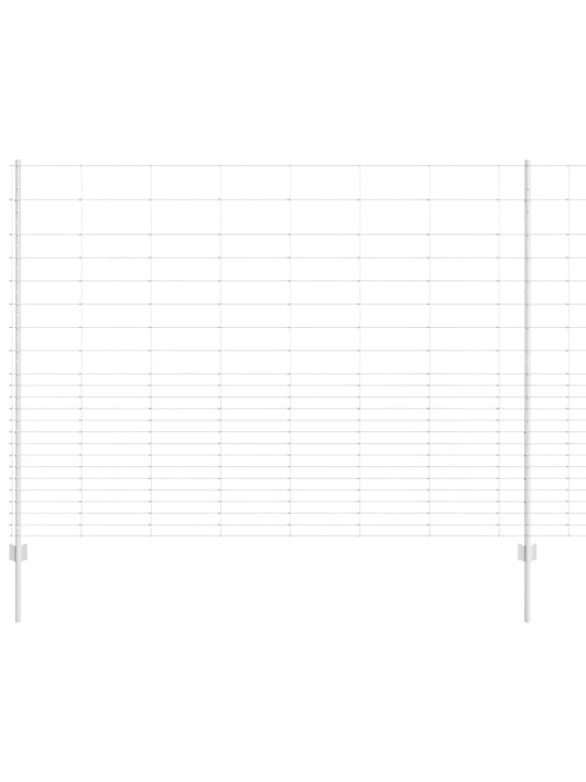 Aed koos postidega hõbedane 1.6 x 25 m teras
