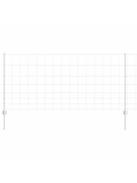 Aed koos postidega hõbedane 1 x 50 m teras