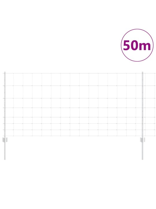 Aed koos postidega hõbedane 1 x 50 m teras