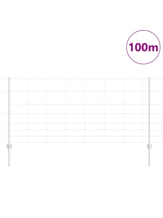 Aed koos postidega hõbedane 1 x 100 m teras