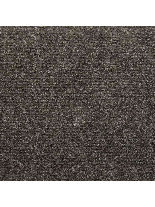 ISELIIMUVAD TREPIVAIBAD 20 TK, ANTRATSIITHALL, 56 X 17 X 3 CM
