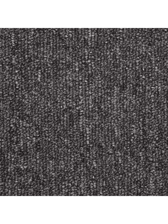TREPIMATID 30 TK ANTRATSIIT 56X17X3 CM