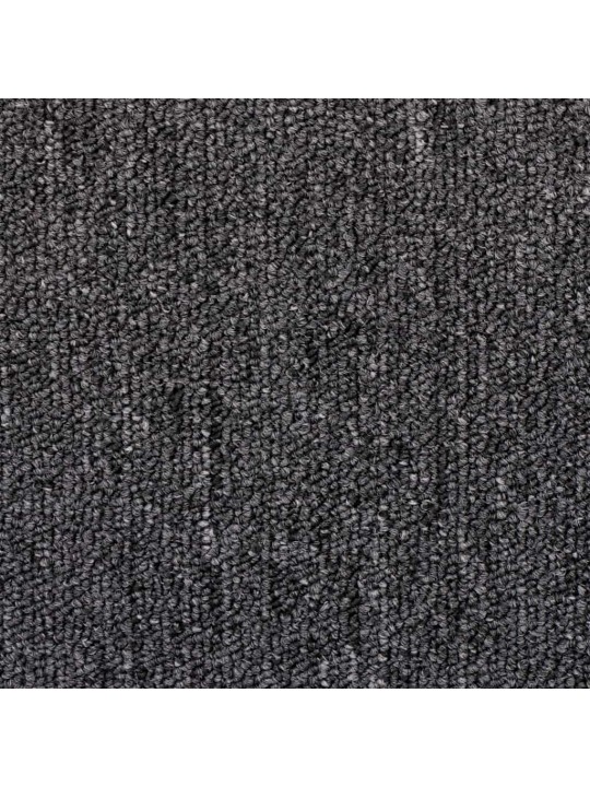 TREPIMATID 20 TK ANTRATSIIT 65X24X4 CM