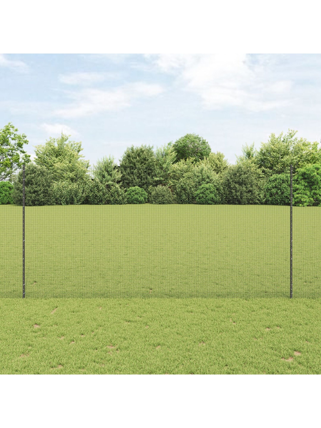AIA AIAPIIRE 2 TK KOMPLEKT HALL METALL 25 X 1,5 M VASTUPIDAV