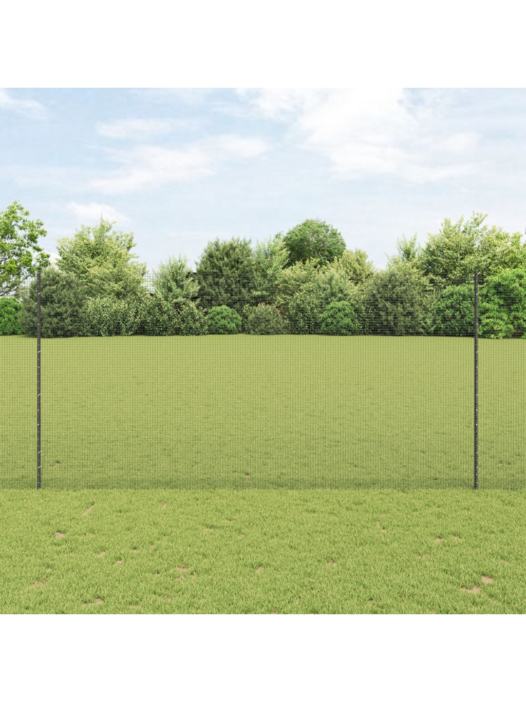 HALL KEEVITATUD TRAADIST AED KOOS 22 U POSTIDEGA 1.6X25 M TERASEST