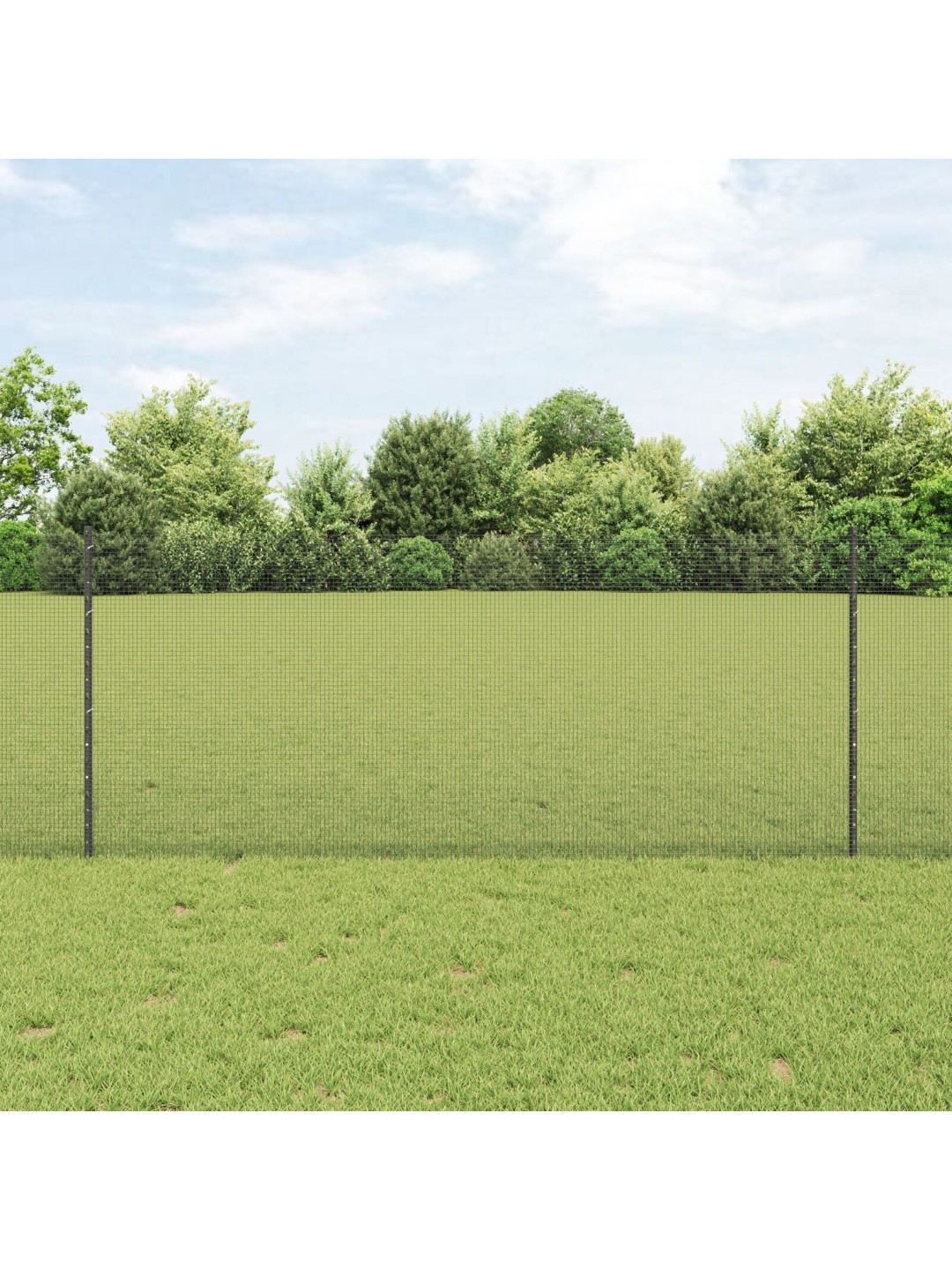 KEERMESTATUD TRAAF 44 U POSTIGA HALL 1X50 M TERAS