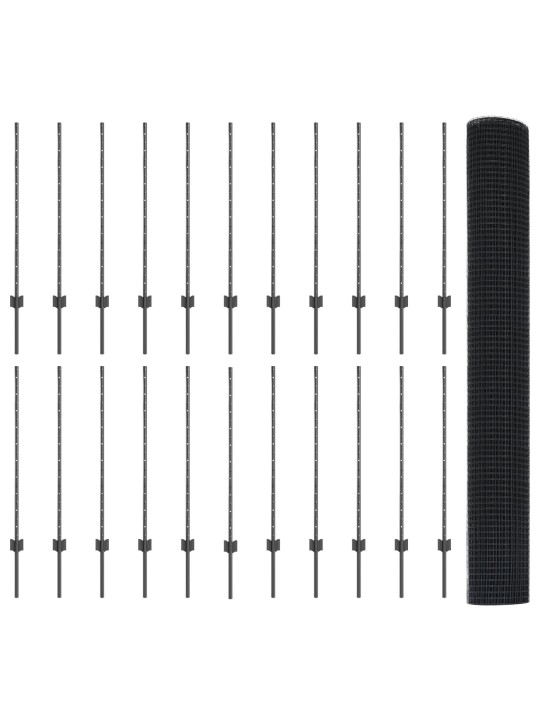 KEERMESTATUD TRAAF 44 U POSTIGA HALL 1X50 M TERAS