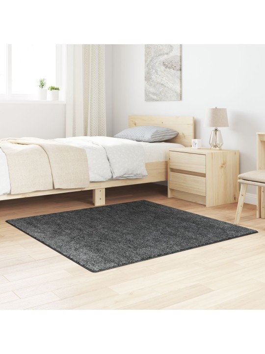 PEHME VAIP LATEKSI ALUSEGA TUMEHALL 120X120 CM