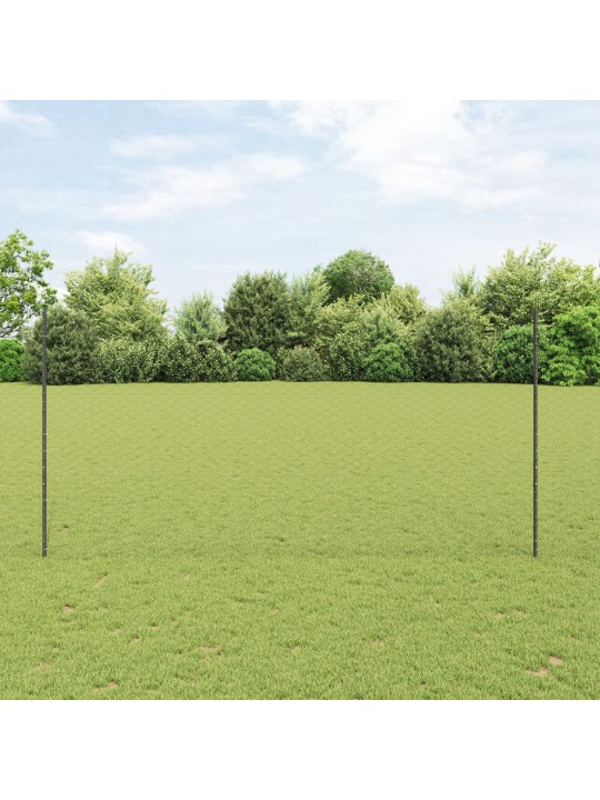 AIA PIIRIDE KOMPLEKT 2 TÜKKI HALL METALL 25 X 1.5 M VASTUPIDAV