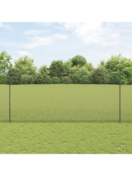 KOOTUD TRAAI PIIR 22 U POSTIGA HALL 1.6X25 M TERAS