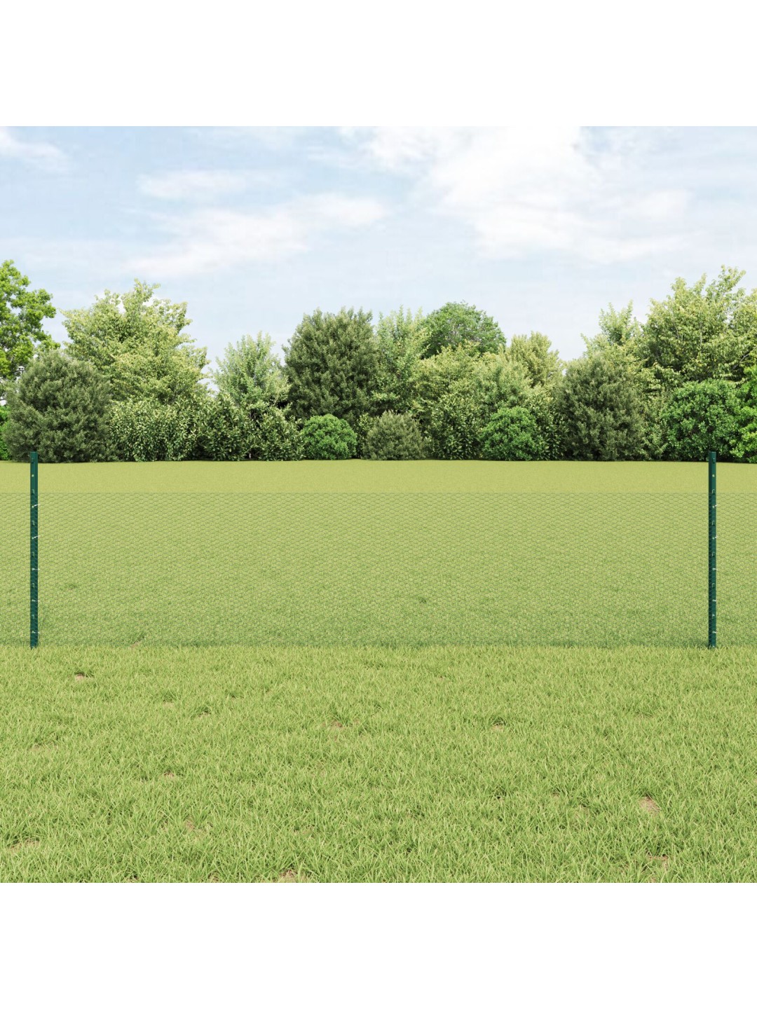 AIA PIIRETE KOMPLEKT 2-OSALINE ROHELINE