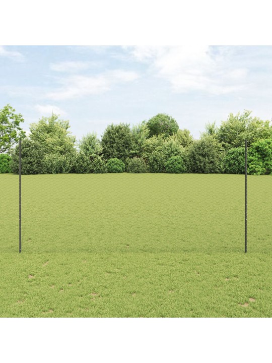 AIA KOMPLEKT 2 TÜKKI HALL PULBERKATTEGA TERAS 25 X 1.5 M
