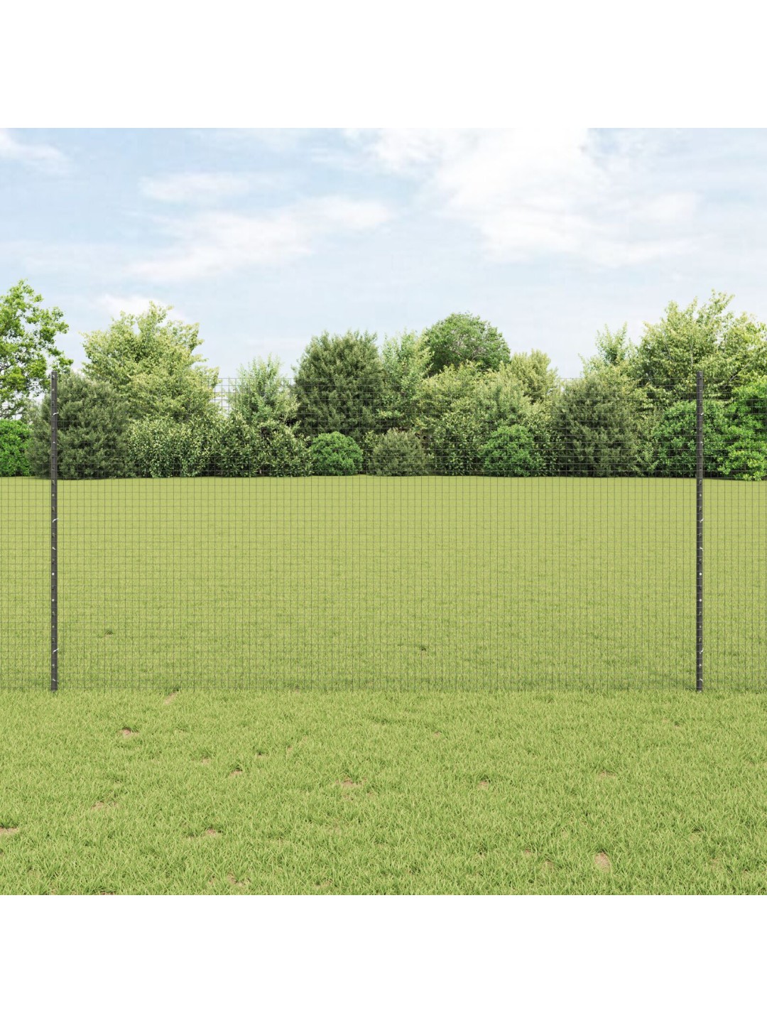 KEEVITATUD AED KOOS 44 U-POSTIGA HALL 1.2X50 M TERAS