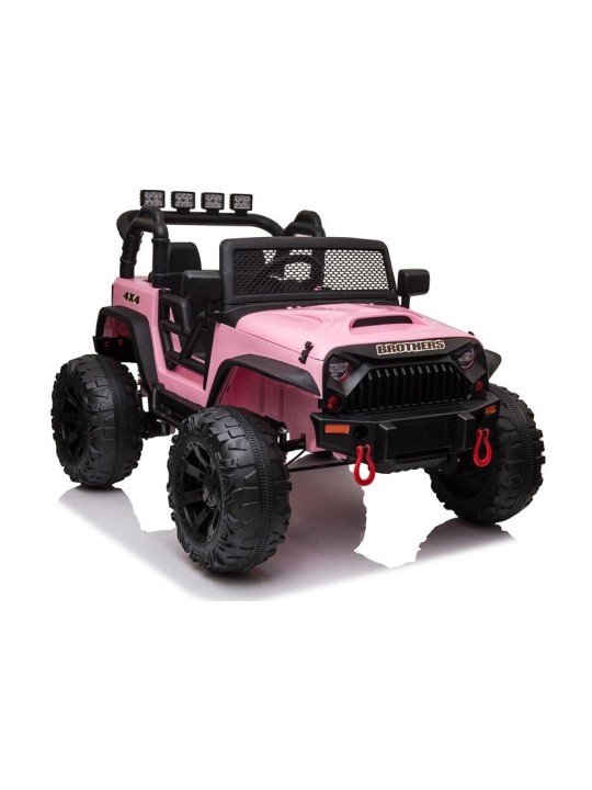 JC666 Rose Laste Elektriauto