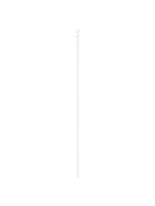 Libisev uks koos kinnituste komplektiga valge 61x198.5 cm tugevast männipuidust