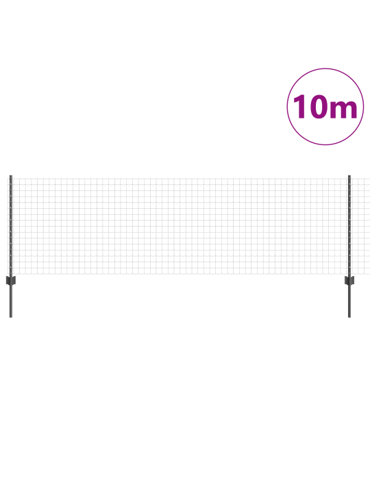 Euro piire 5 u postiga hall 0,8x10 m teras