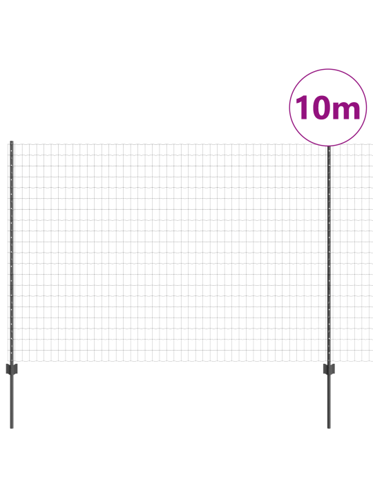 Euro aed koos 10 u poste hall 1,5x10 m teras