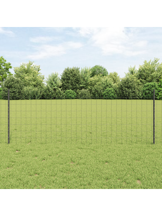 Euroopa aed 11 u postiga hall 0,8x25 m teras
