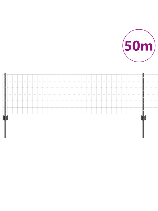 Euroopa aed 22 u postiga hall 0,6x50 m teras