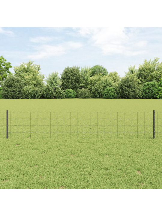 Euro aiakaitse 22 u postiga hall 0,4x50 m teras