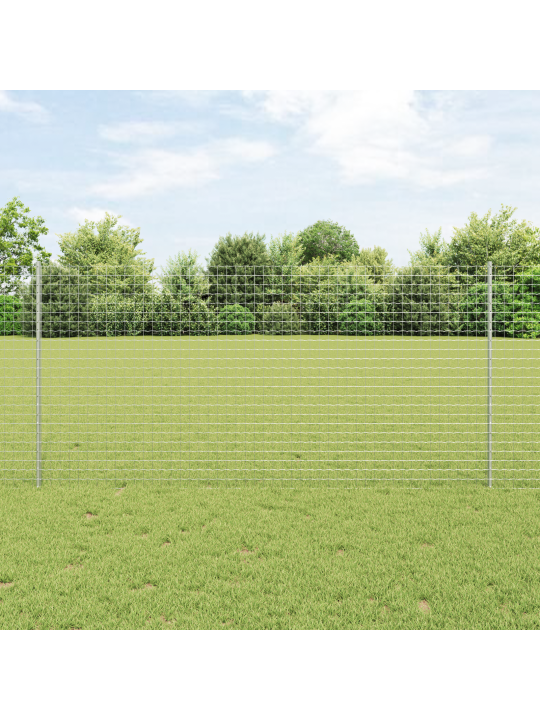 Euroopa aed 10 u postiga hõbedane 1,2x10 m teras