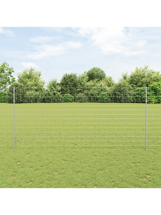Euroopa aed 10 u postiga hõbedane 1,4x10 m teras
