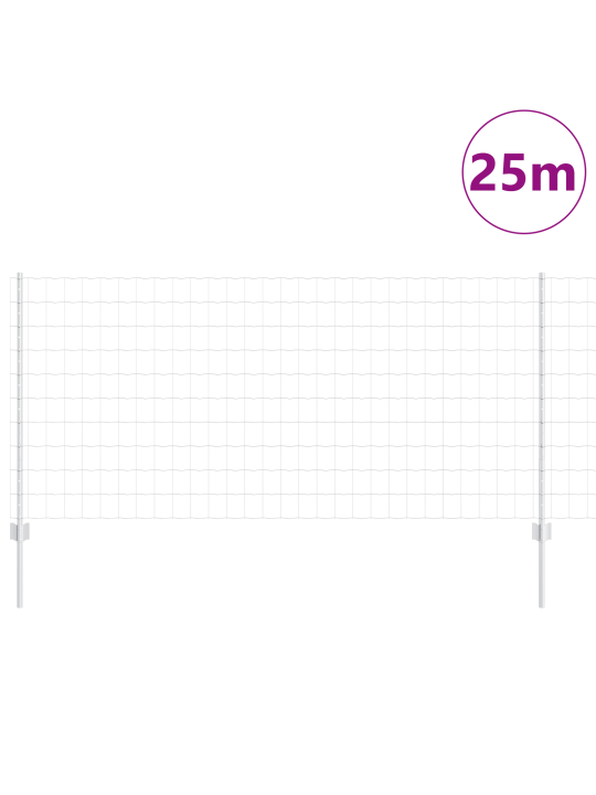 Euro aed 22 u postiga hõbedane 1x25 m teras