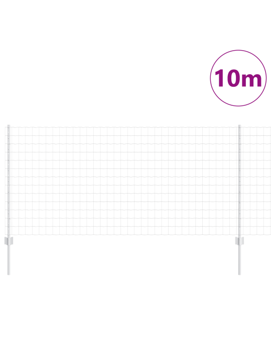 Euro aed 10 u postiga hõbedane 1x10 m teras