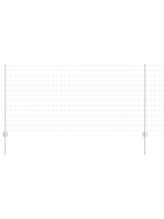 Euro aed 10 u postiga hõbedane 1x10 m teras