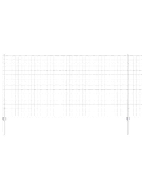 Euro aed 10 u postiga hõbedane 1,2x10 m teras