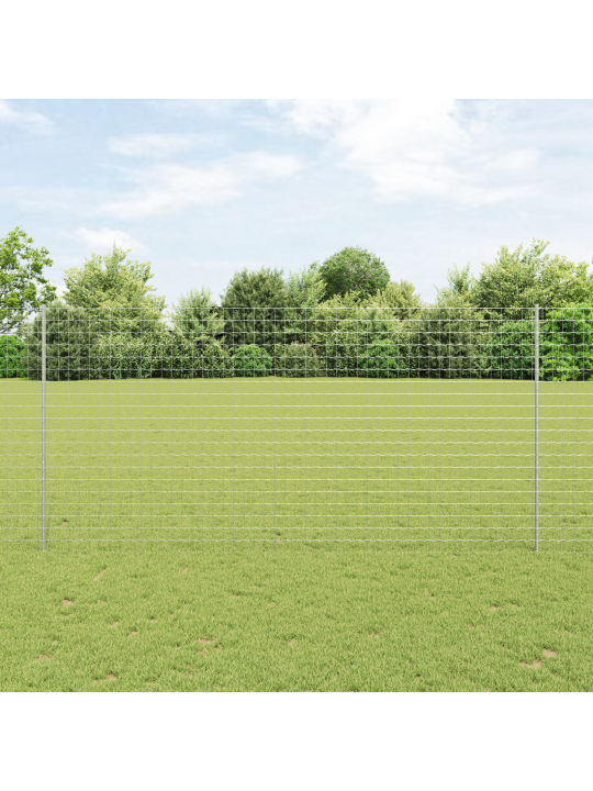 Euro aed 10 u postiga hõbedane 1,6x10 m teras