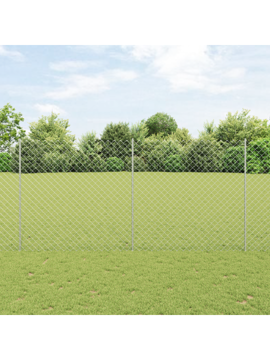 Ahel-link aed 20 u posti hõbedast 1.5x10 m teras