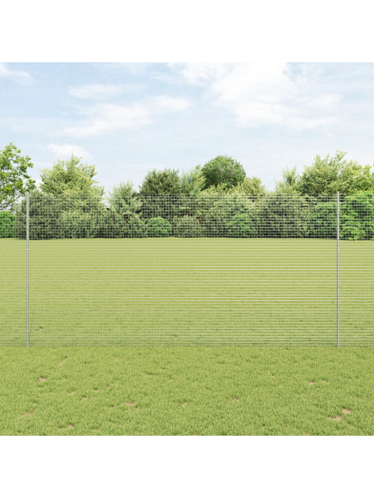 Keermestatud tara koos 22 u postiga hõbedane 1.6x25 m teras