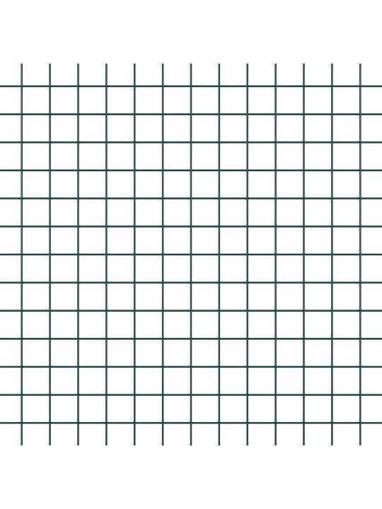 Kanaai aiapidamise komplekt 2 tk roheline tsinkteras 25 x 1 m