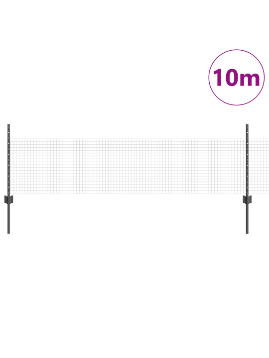 Kana traadi aed 2 tk komplekt hall tsingitud metall