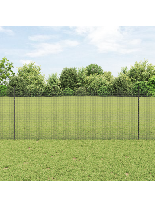 Kana traadi aia komplekt 2 tk hall metall 10 x 1 m aed