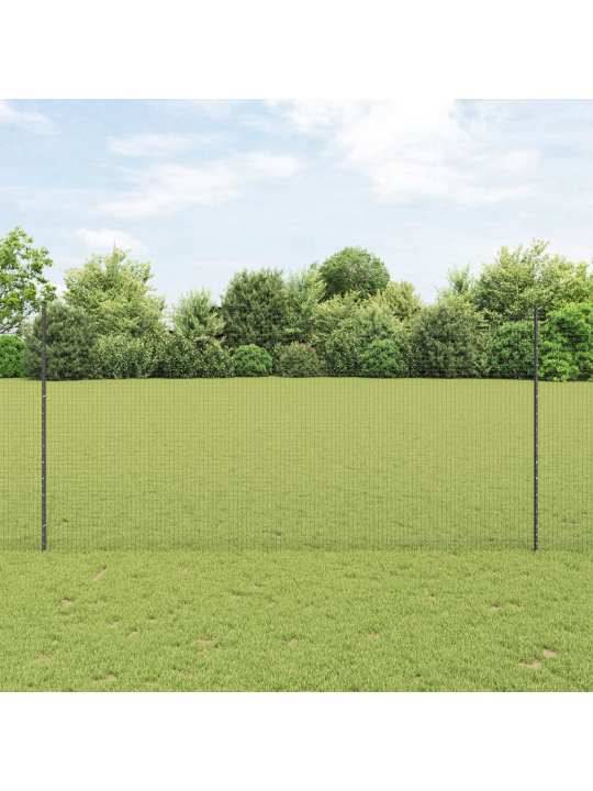 Torustatud traat aed 22 u postidega hall 1.6x25 m teras